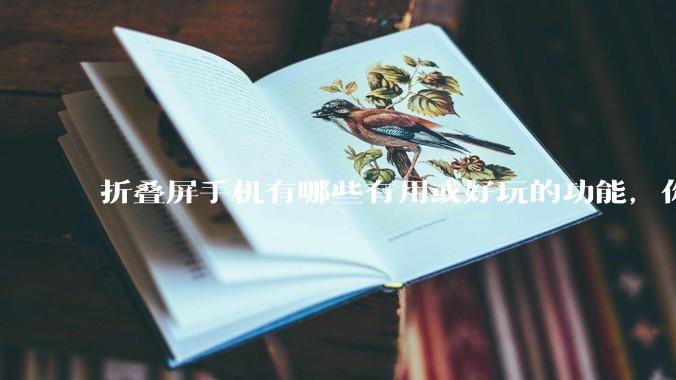 折叠屏手机有哪些有用或好玩的功能，你过去不理解，现在离不开？
