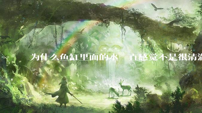 为什么鱼缸里面的水一直感觉不是很清澈呢？