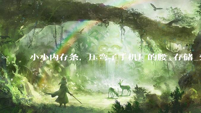 小小内存条，压弯了手机厂的腰_存储_荣耀_卢伟
